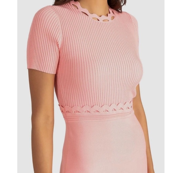 Shoshanna Pink Gemma Eyelete cut out Preppy Short Sleeve Fit flare dress XS - Picture 5 of 15